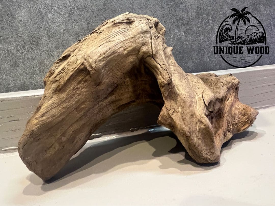 【コエポン】12点まとめ買い