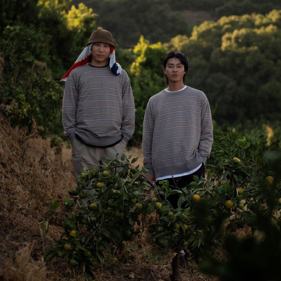 美品 ACY BORDER KNIT GRAY MIN NANO