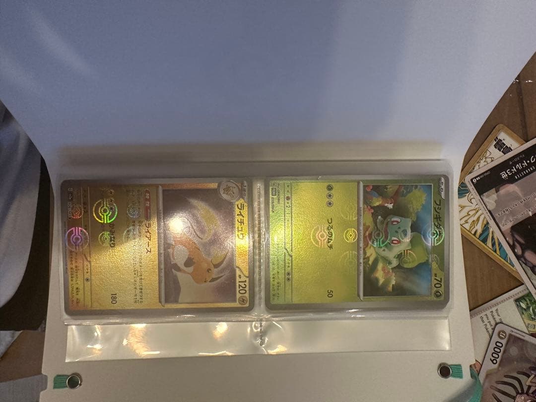 デ*ー様 サンダーex リザードンex 英語版　その他カード＋ファイル付き