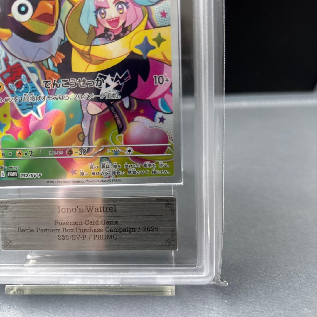 【ARS10+】ナンジャモのカイデン プロモ 鑑定書付