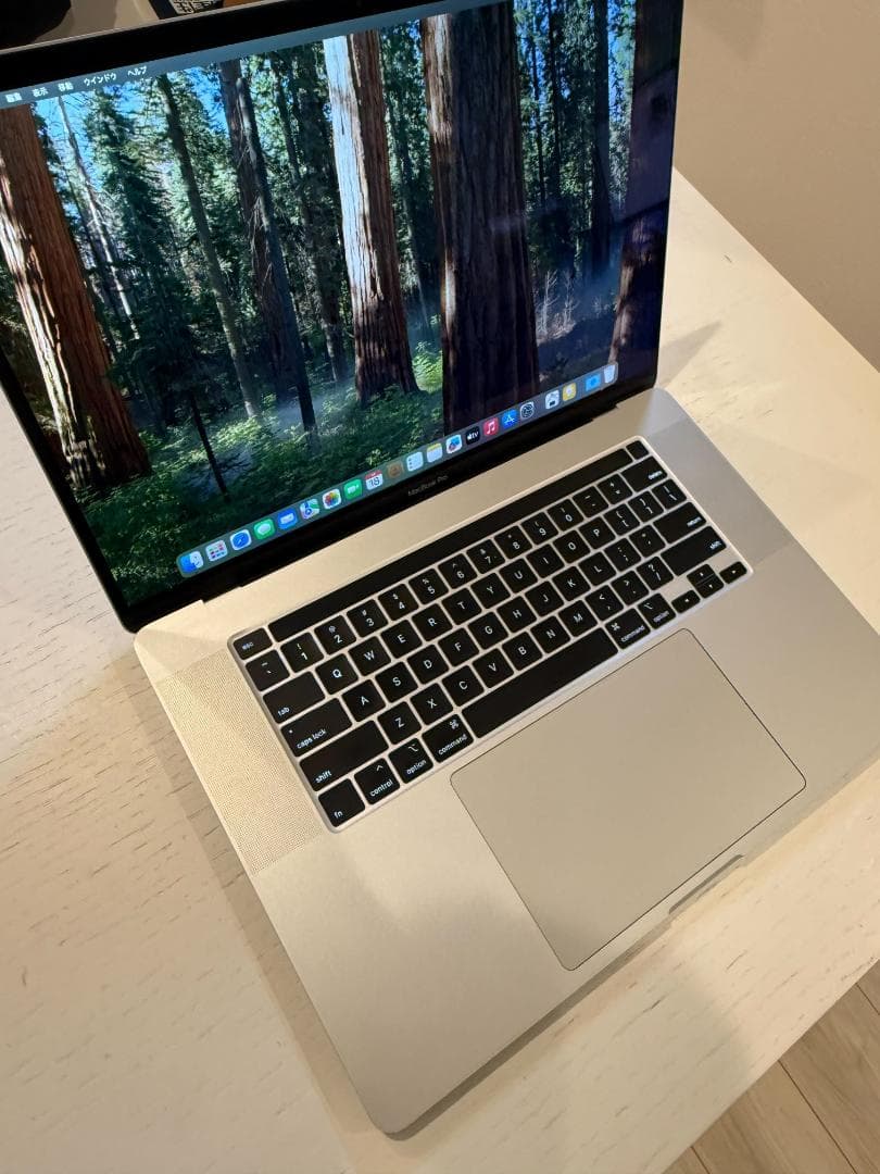 MacBook本体 MacBook Pro Intel /i9/16GB/1TB