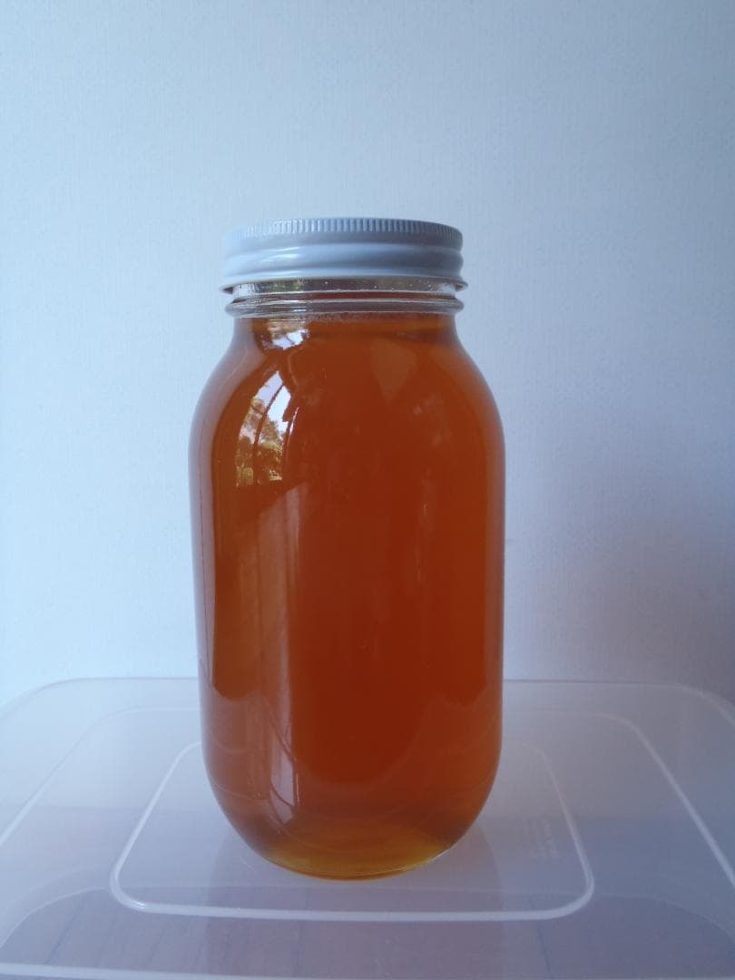 日本ミツバチの蜂蜜(1200g入り）