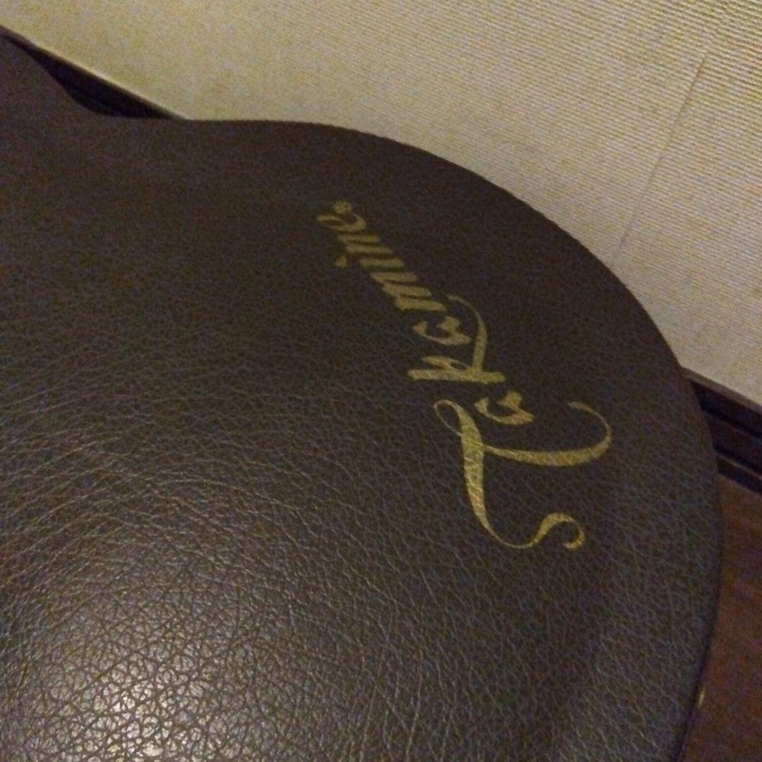 スタッフォード 　エレアコ　タカミネハードケース付き