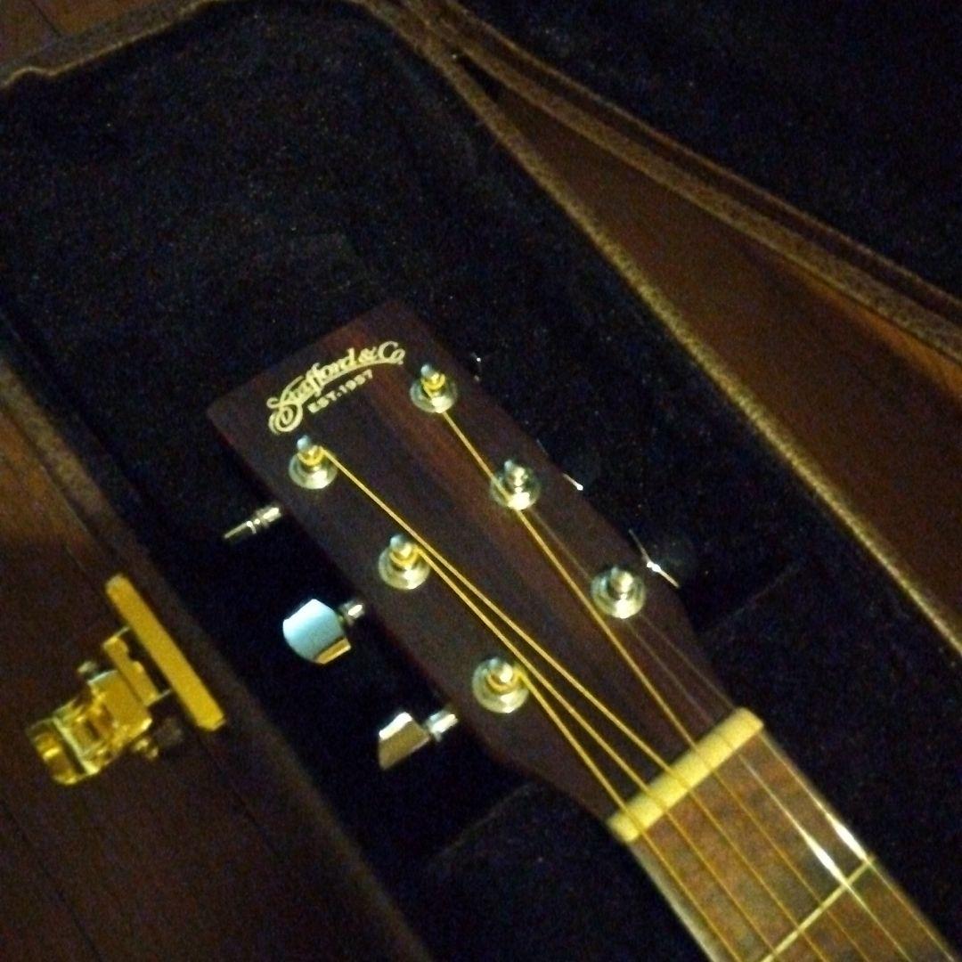 スタッフォード 　エレアコ　タカミネハードケース付き