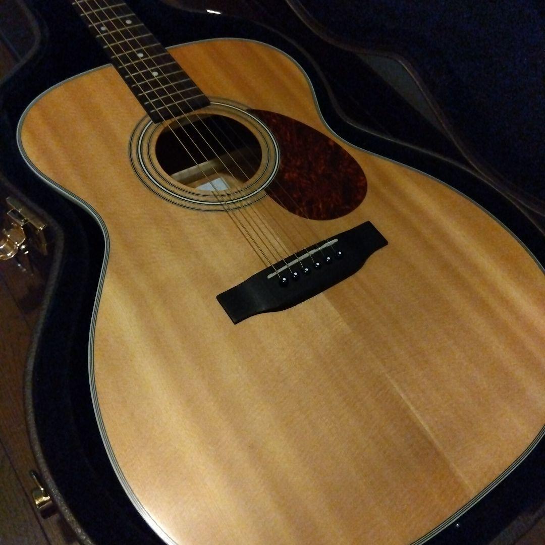 スタッフォード 　エレアコ　タカミネハードケース付き