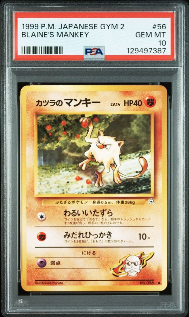 【PSA10】ポケモンカード　旧裏　カツラのマンキー