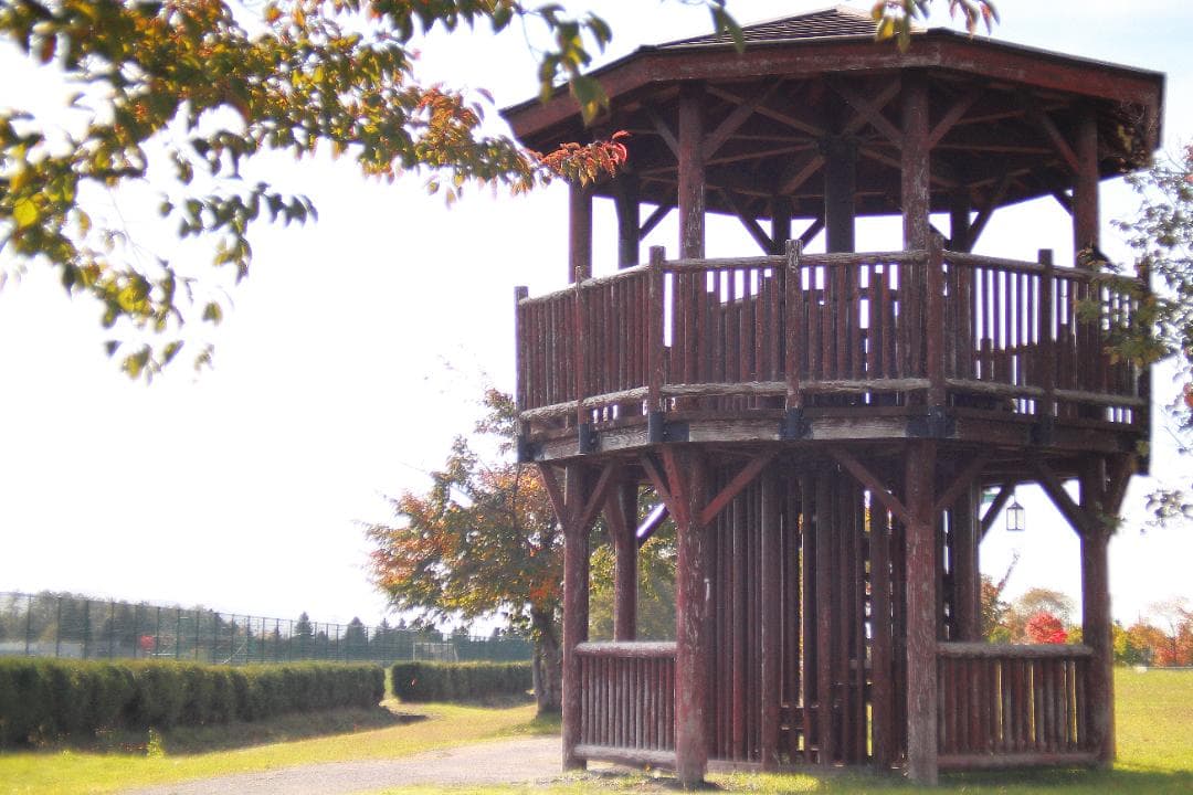 cannon FD 35mm f3.5 S.C.(Ⅲ)【 昭和レトロ 】作例あり