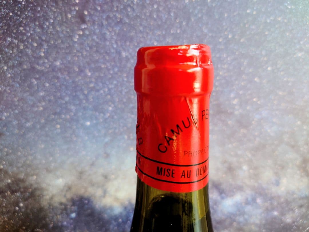 シャルム・シャンベルタン カミュ・ペール・エ・フィス2001