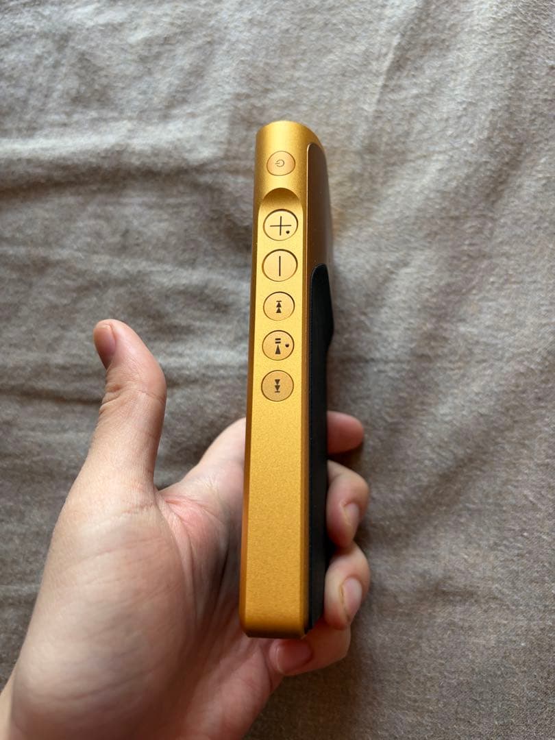 SONY NW-WM1ZM2 ゴールド　ケース付き