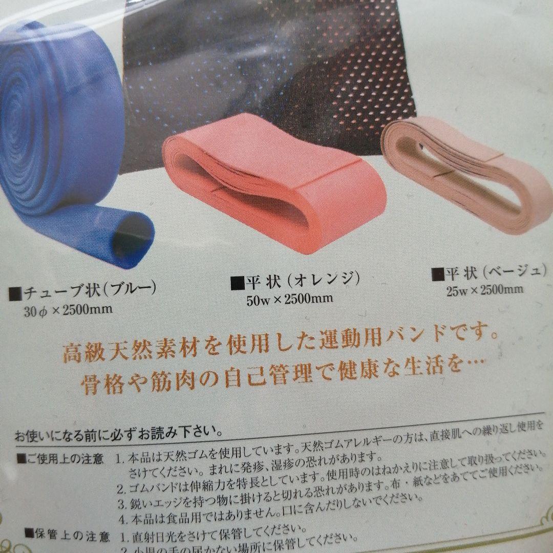 Body Control Band II セット 日本直販総本社