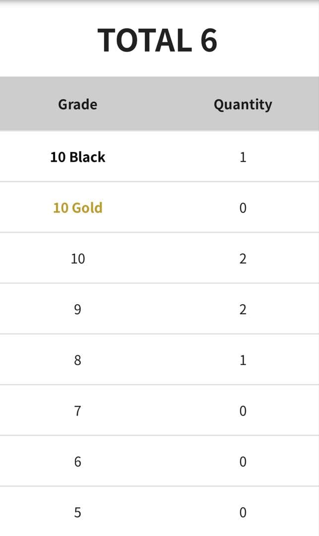 メガルカリオex MA gemix10 BLACK 現在世界で1枚