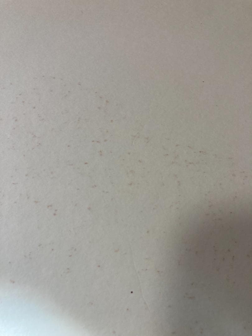 茶道具 桑枠 風炉先屏風 利休梅 裏遠山 両面使い