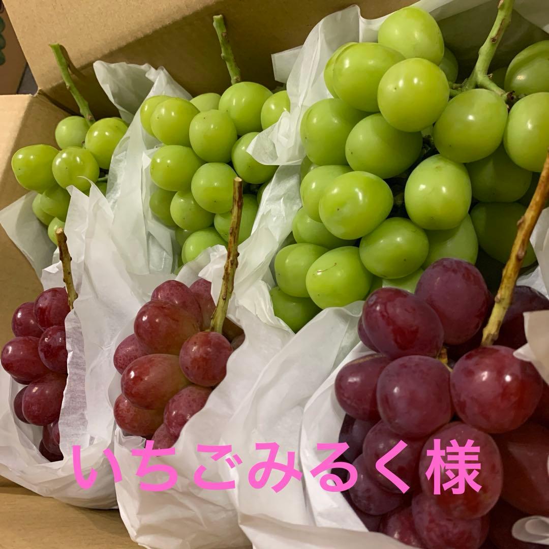 ①黄色シャイン（2キロ~）②贈答用黄色シャイン、クイーンルージュ®︎ （2キロ~）