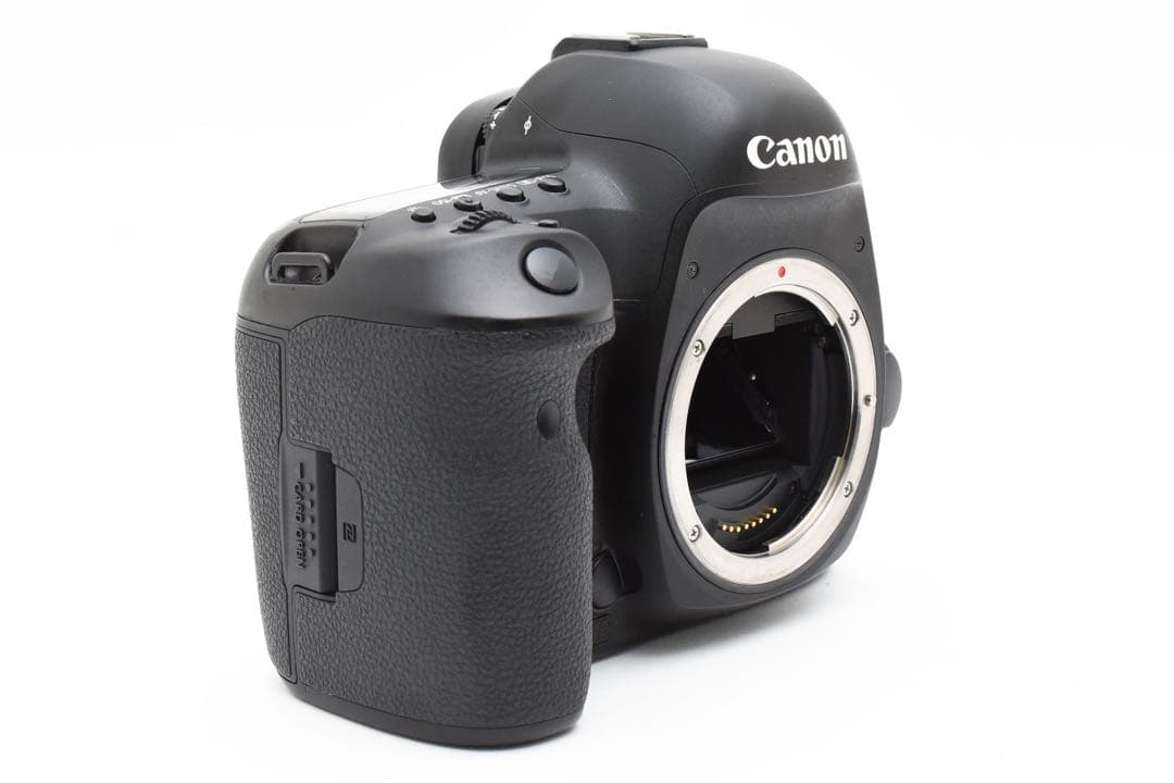 保証付き/Canon EOS 5D Mark IV標準&望遠ダブルレンズセット