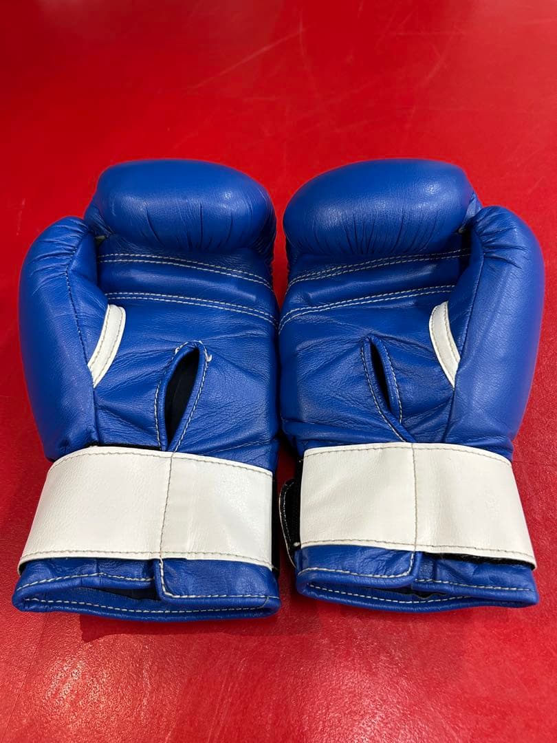 Winning ボクシンググローブ 10 oz 青
