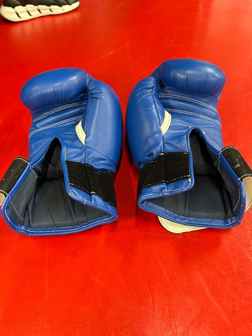 Winning ボクシンググローブ 10 oz 青