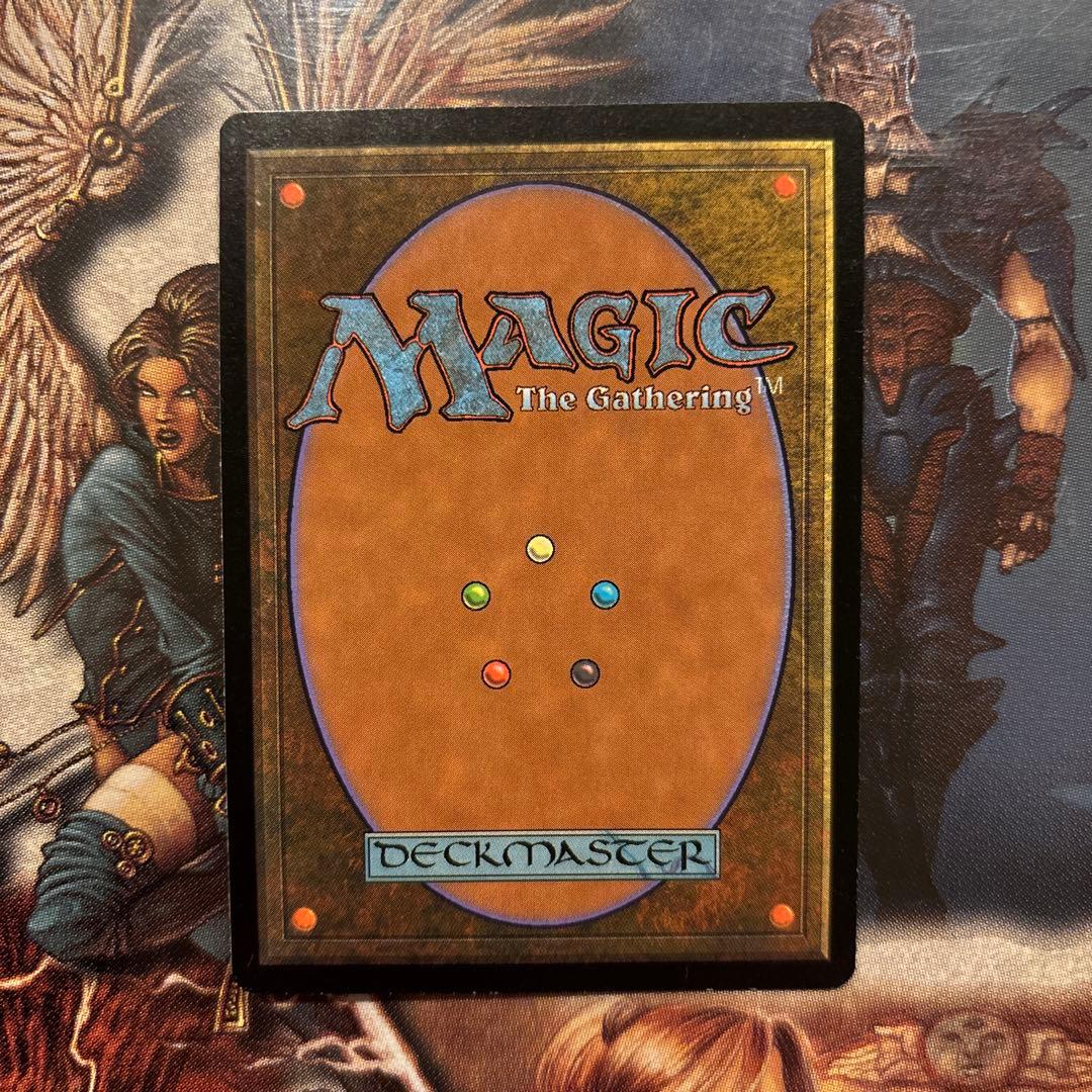 【Foil】蓄積した知識/Accumulated Knowledge[NEM]