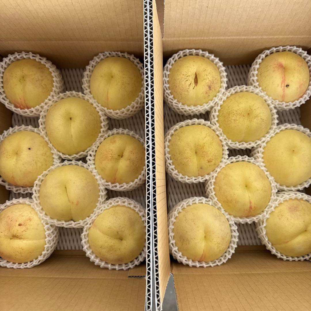 幻の桃　シーエックス