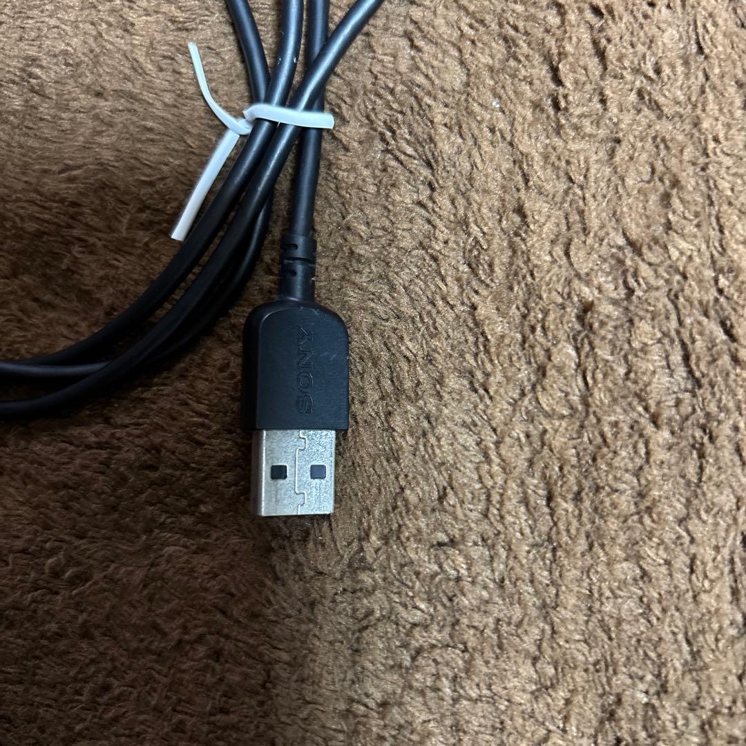 み*ゆ様 SONY NW-WM1A 128GB デジタルオーディオプレーヤー