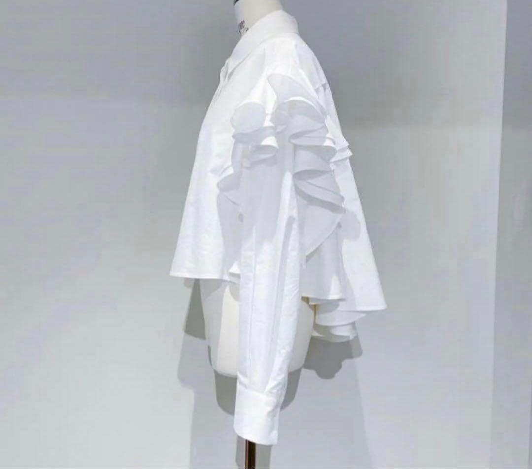 シーニュ　cygne バックフレアーショート丈ブラウス Céline