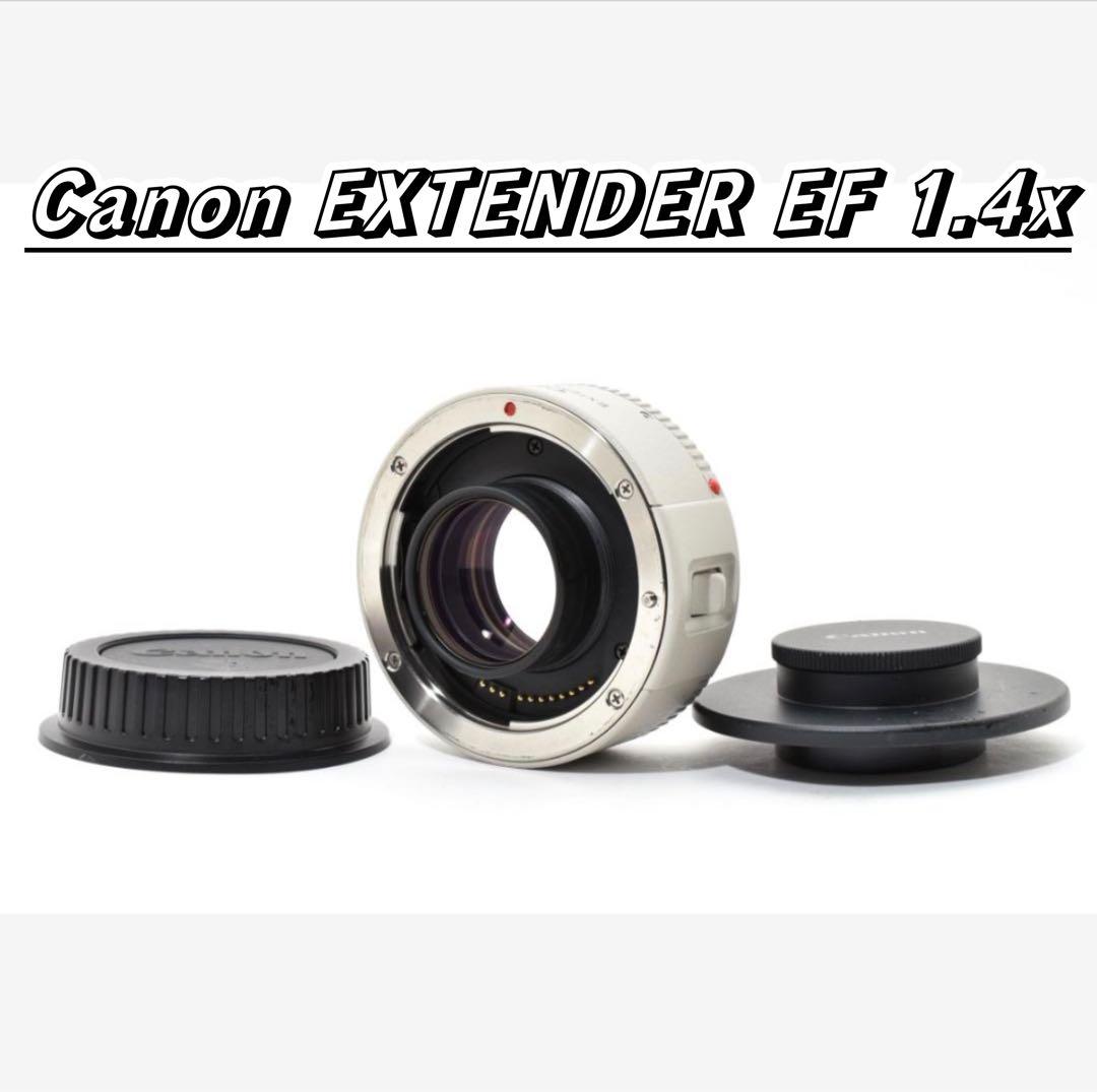 ★美品★ Canon EXTENDER EF 1.4x アダプター 望遠レンズ用