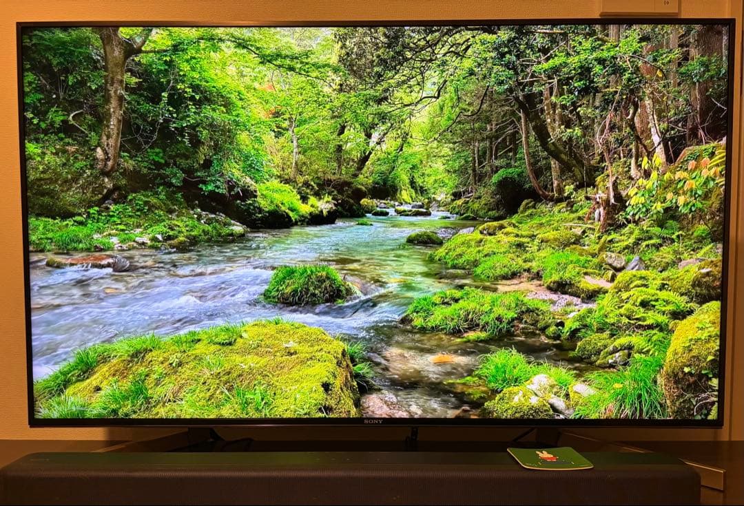 美品】SONY BRAVIA 4K液晶テレビ KJ-49X9000F 49インチ