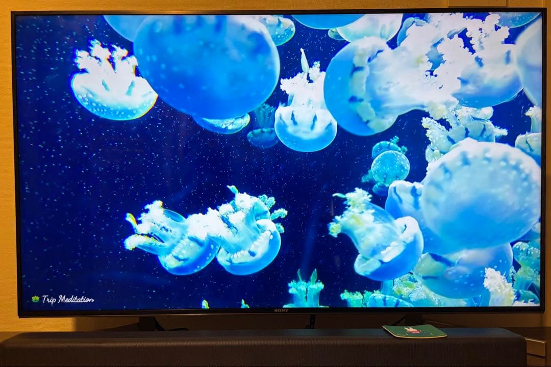 美品】SONY BRAVIA 4K液晶テレビ KJ-49X9000F 49インチ