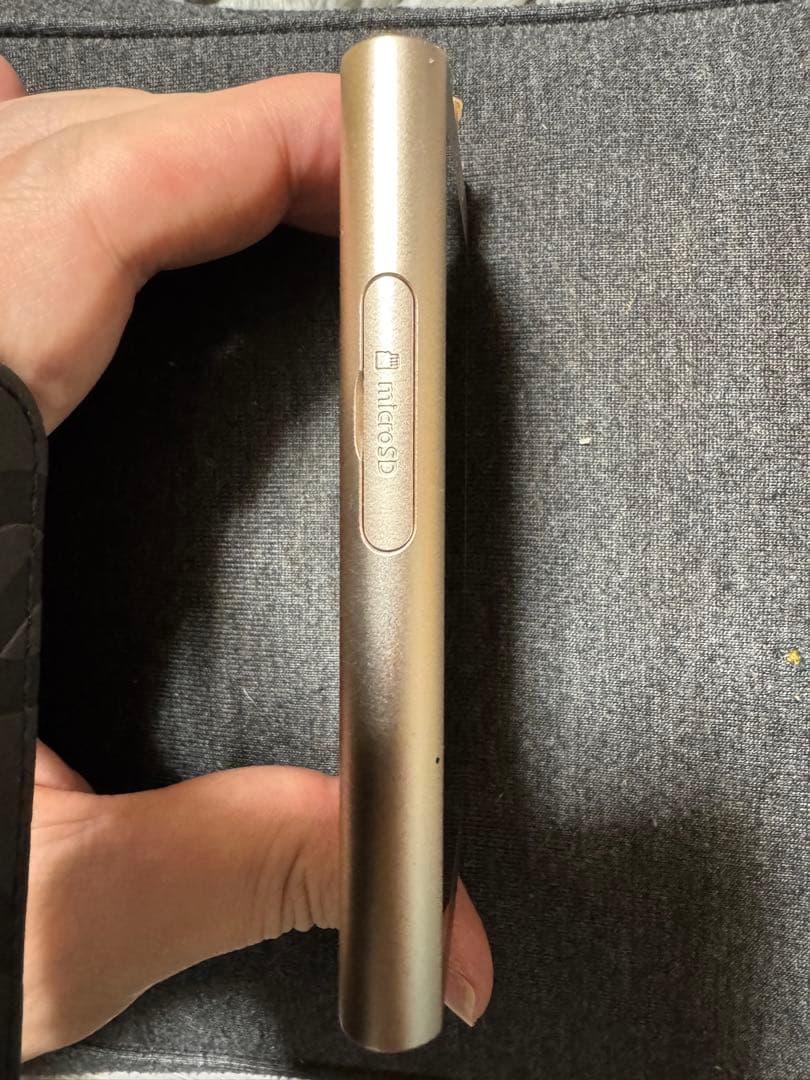 Sony NW-A55 デジタルオーディオプレーヤー ゴールド