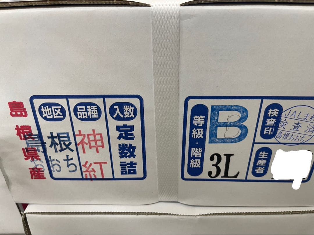 ②【島根県産】神紅(しんく)ぶどう約2キロ(3〜4房)