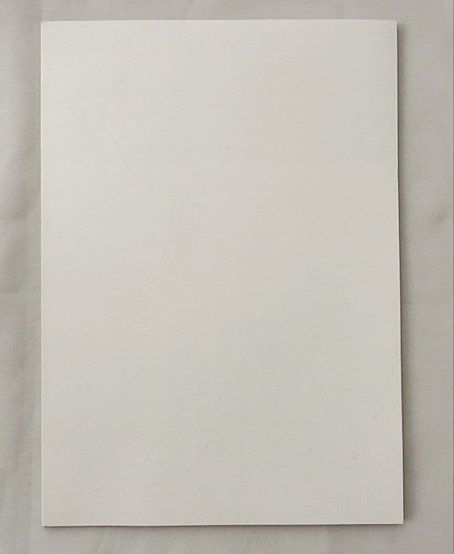 TYPE-MOON　月姫読本(白本)　奈須きのこ　希少品