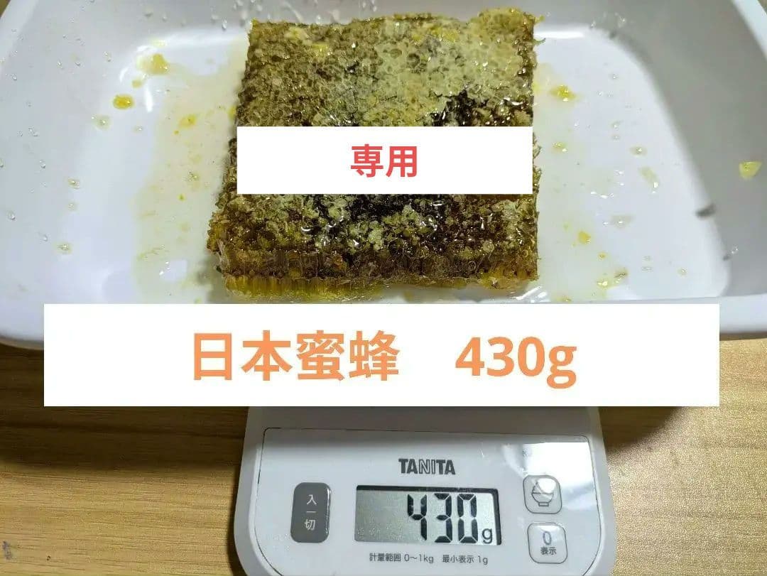 日本みつばち　コムハニー　巣蜜　日本蜜蜂　とれたて