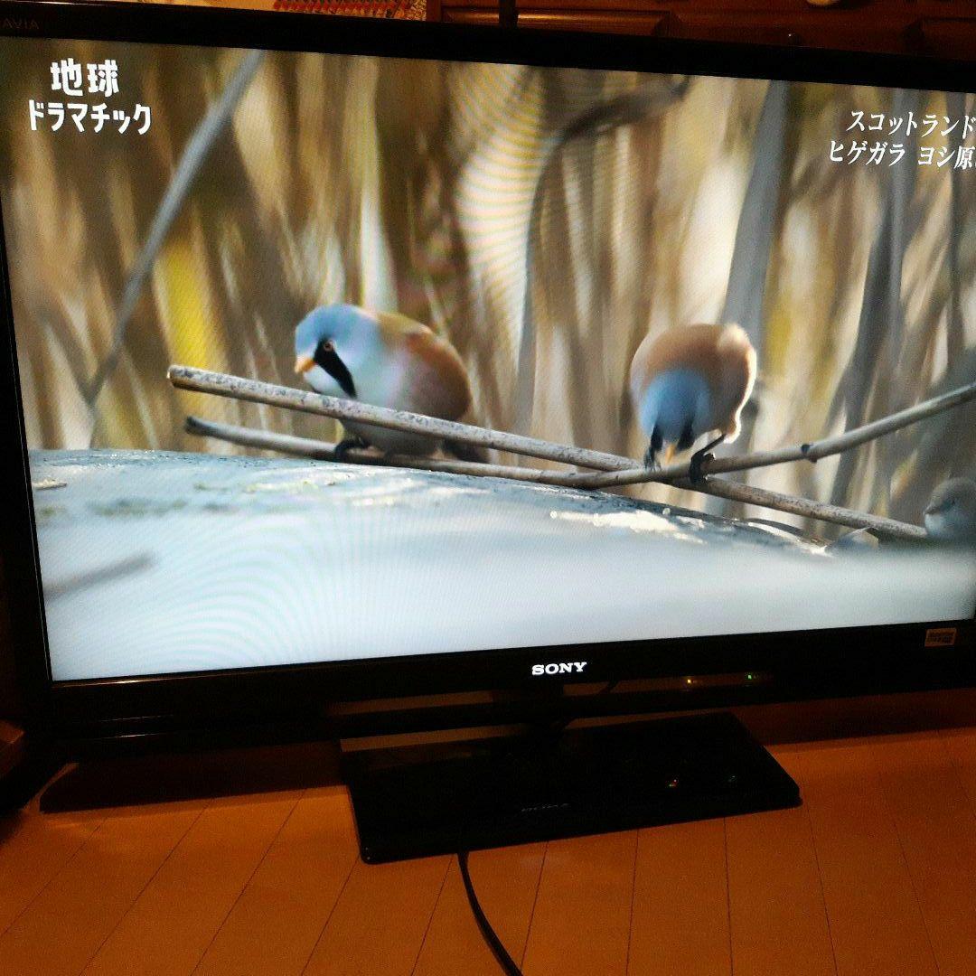 ソニーブラビアKDL―40F1