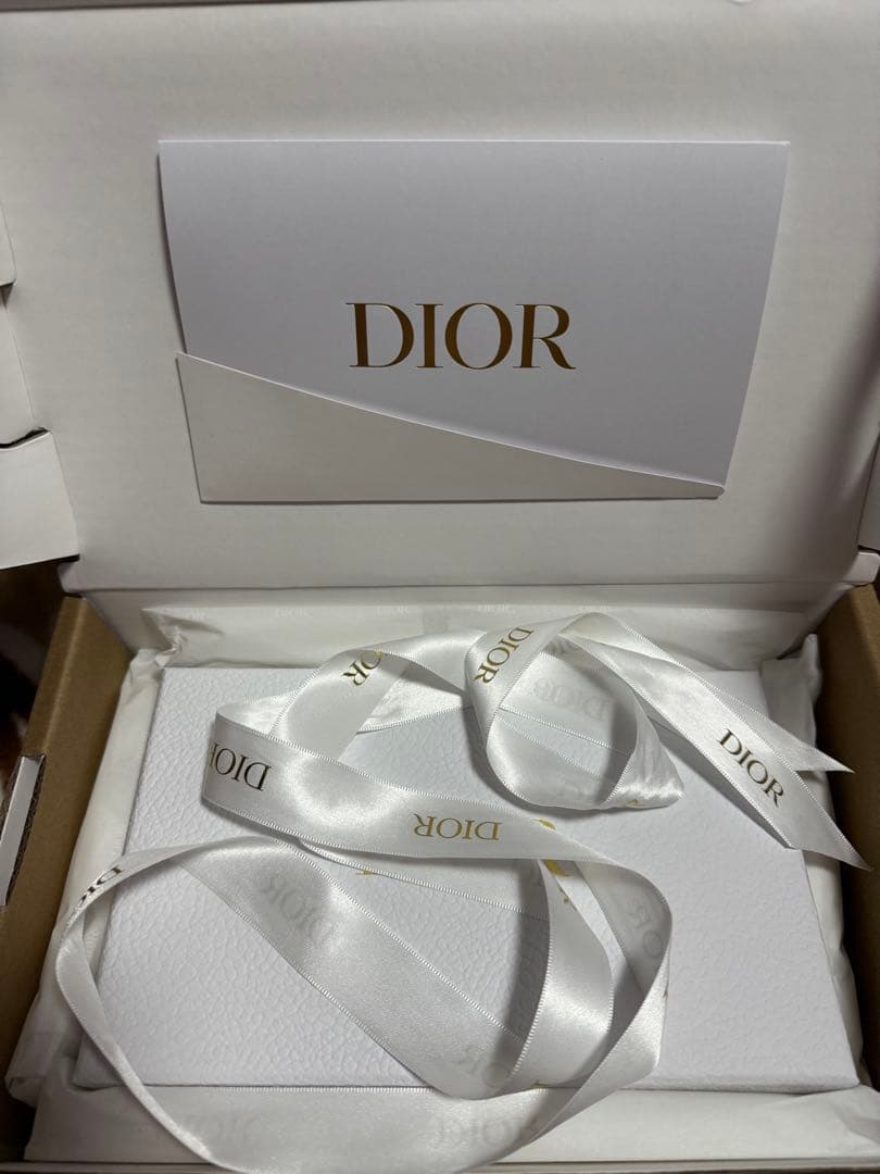 DiorTravel iPhone 16 Pro Max ケース