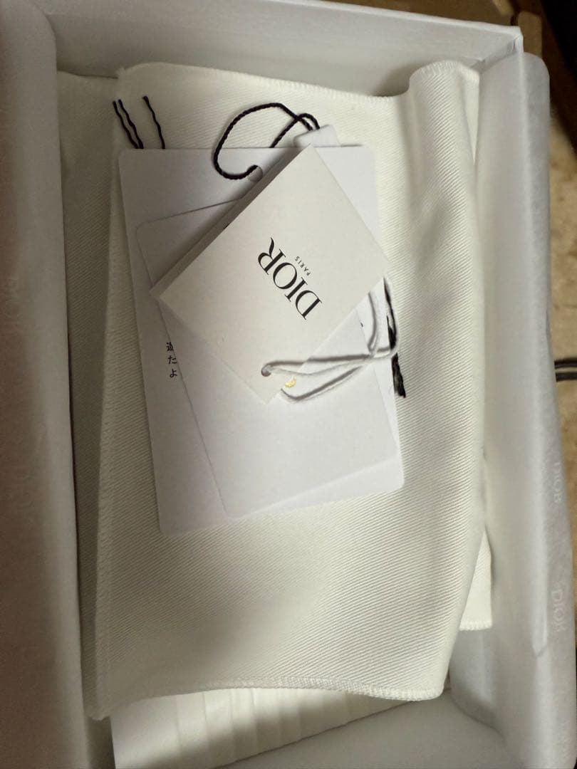 DiorTravel iPhone 16 Pro Max ケース