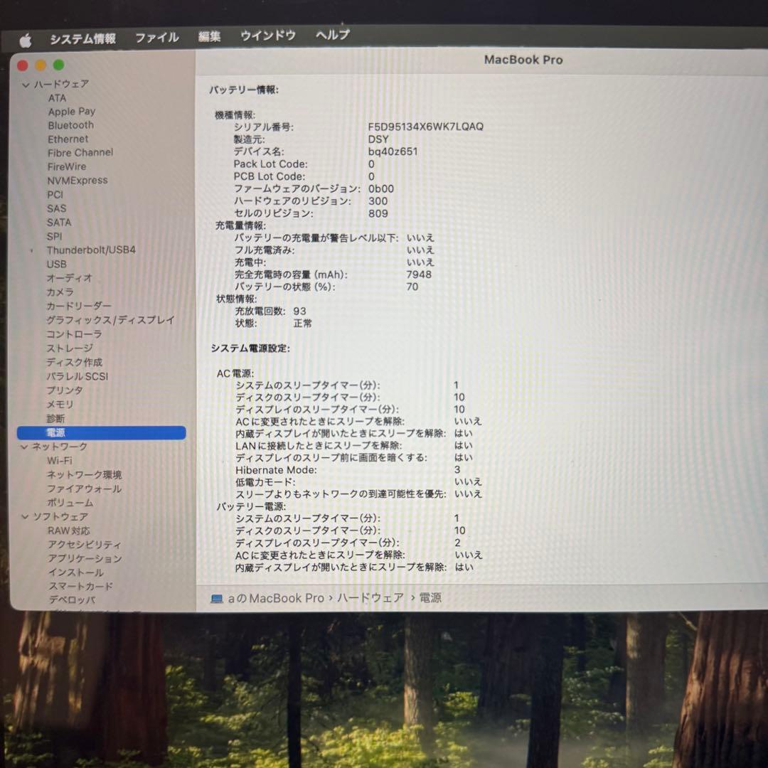 Apple MacBook Pro 2019 i9 16インチ 1TB 16GB