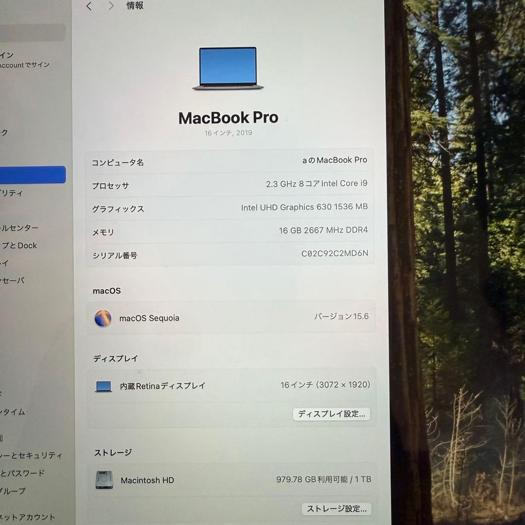 Apple MacBook Pro 2019 i9 16インチ 1TB 16GB