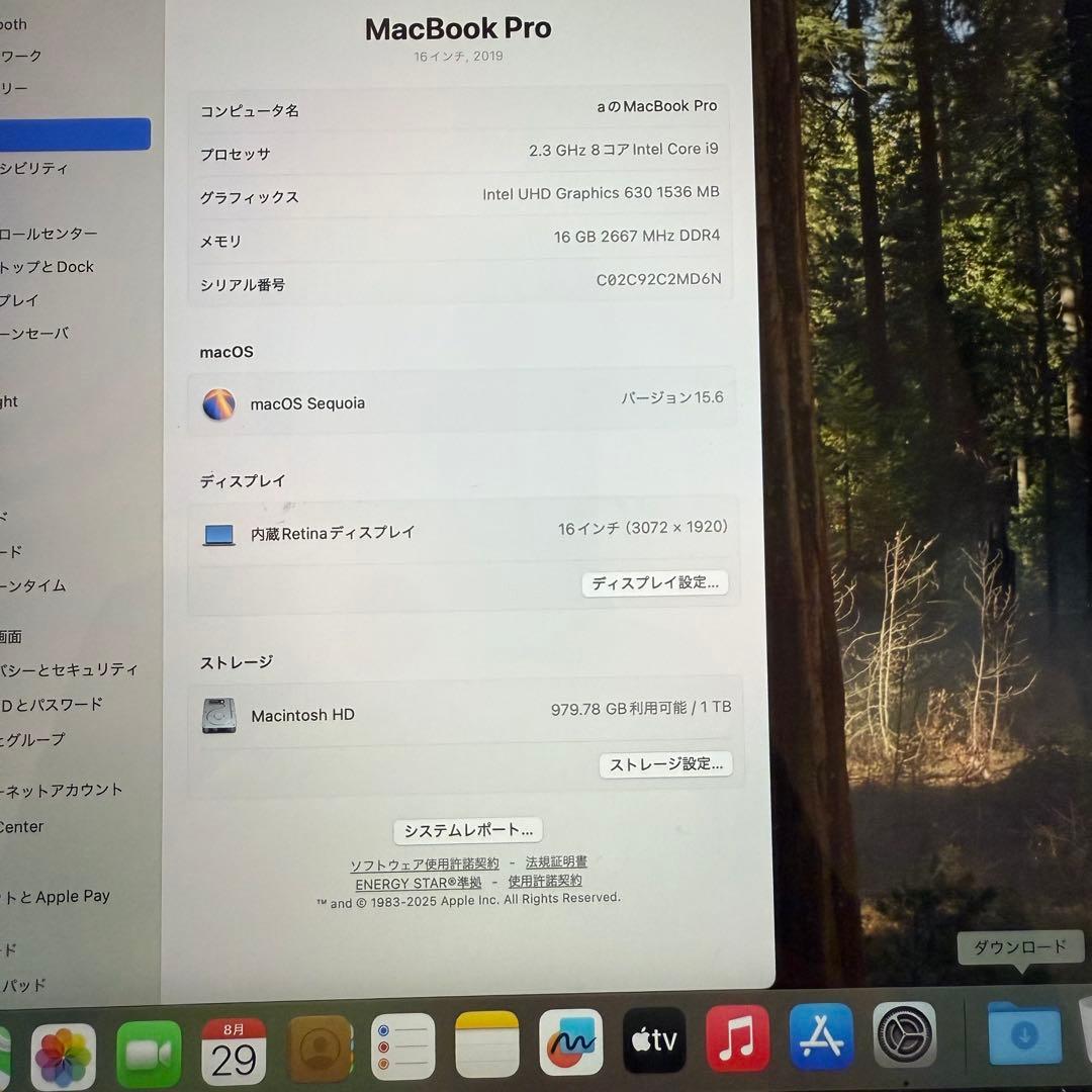 Apple MacBook Pro 2019 i9 16インチ 1TB 16GB