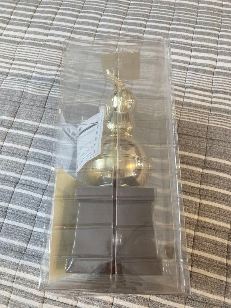 ポケモン電報(電報を取る時のみ開封)生産終了品　トロフィー