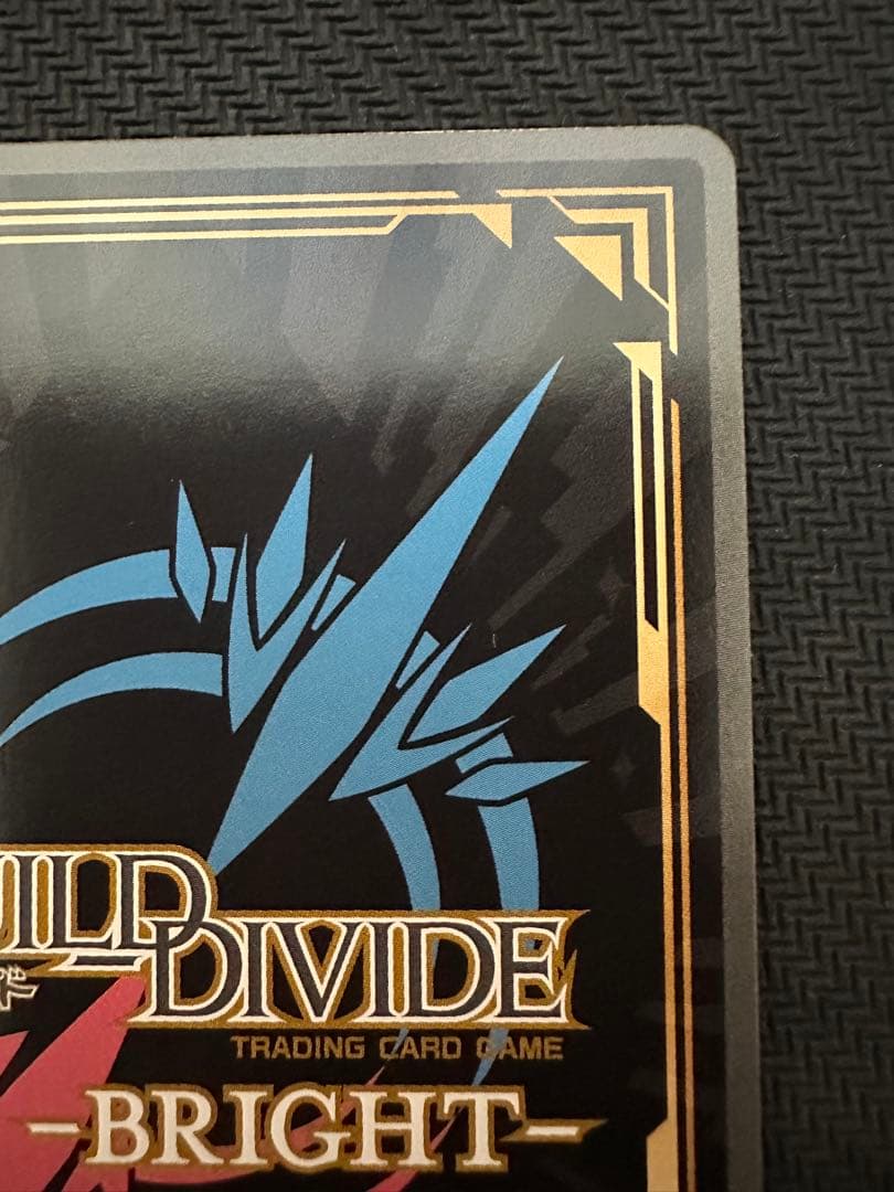 BR 冒険への憧れ ライザ ビルディバイド ブライト