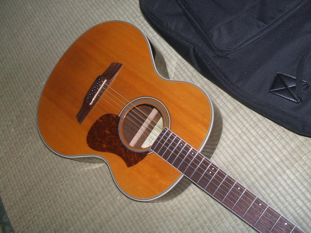 エレアコースティックギター James J-450A 良品