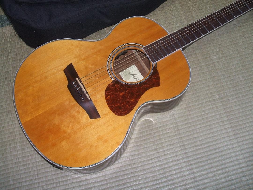 エレアコースティックギター James J-450A 良品