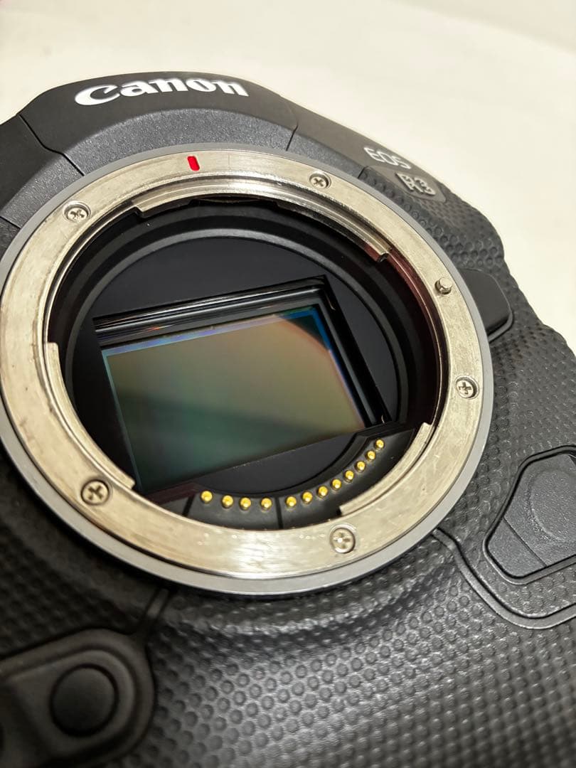 Canon EOS R3 本体