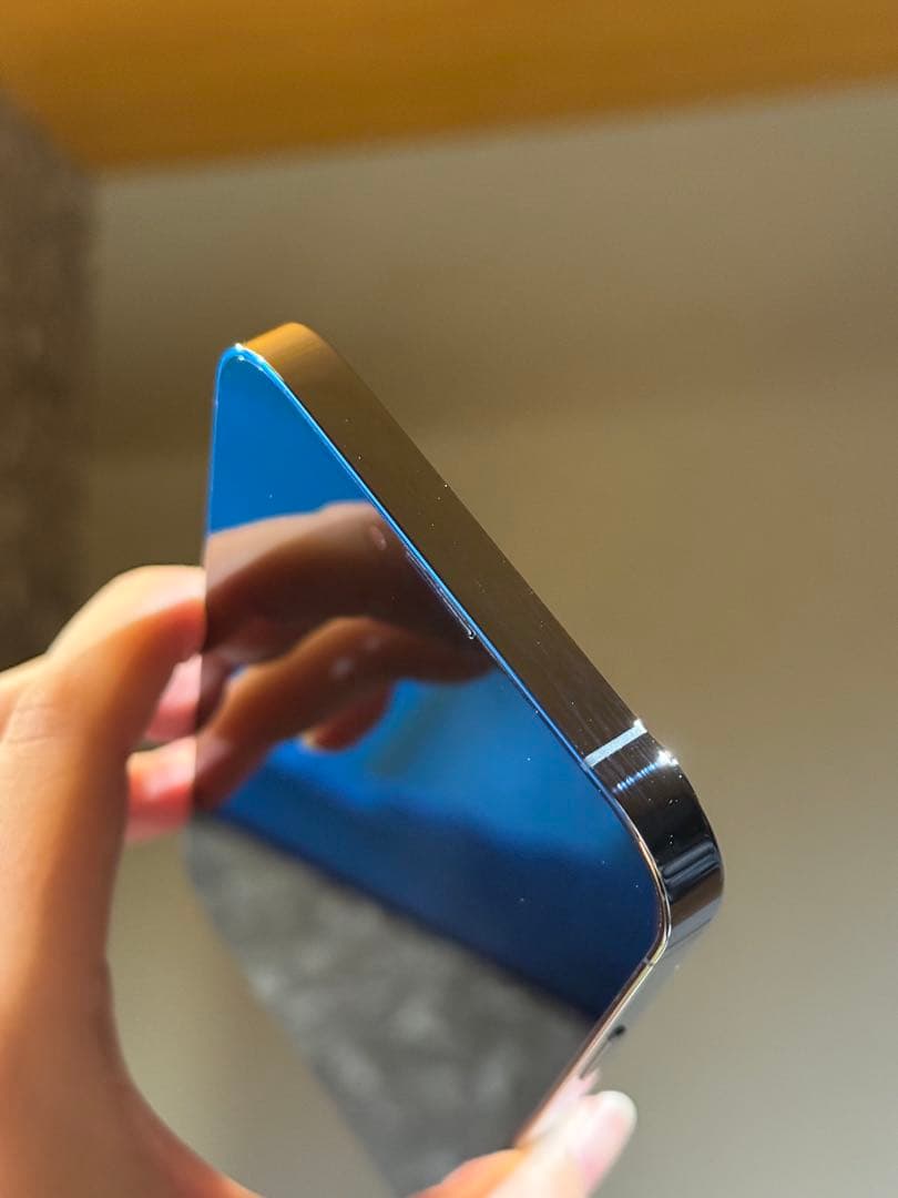 iPhone 13 Pro Max 256GB シエラブルー（ソフトバンク）