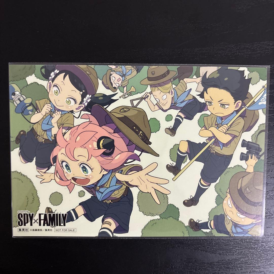 スパイファミリー　特典　４６点セット