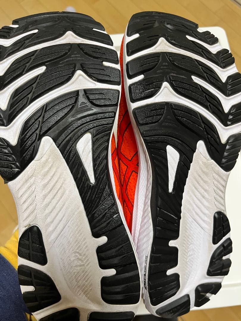 千ちゃん　ASICS ゲルカヤノ29 スタンダード　25.5センチ