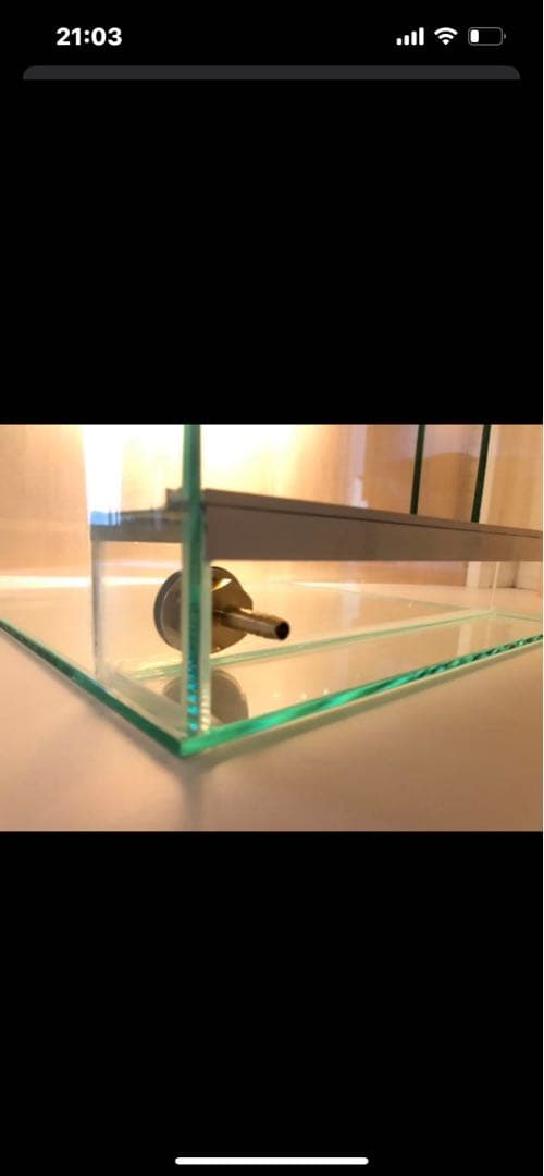 ★ガラスケージ★パルダリウム水槽30×30×30 ヤドクガエル・ビバリウム