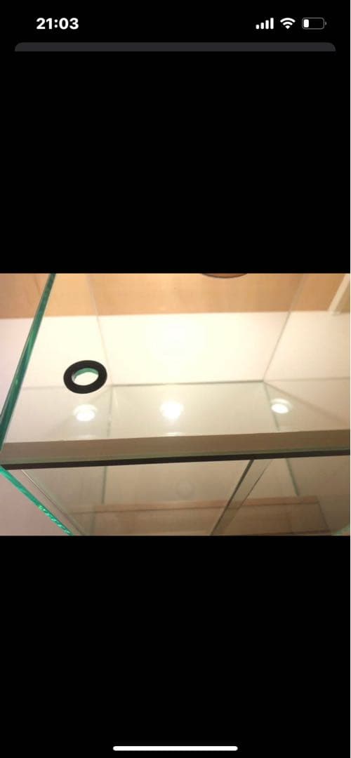 ★ガラスケージ★パルダリウム水槽30×30×30 ヤドクガエル・ビバリウム