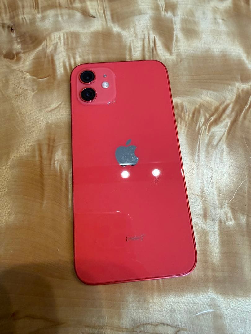 ヒ*ン様 ジャンクの為格安！iPhone12 256GB 本体のみ