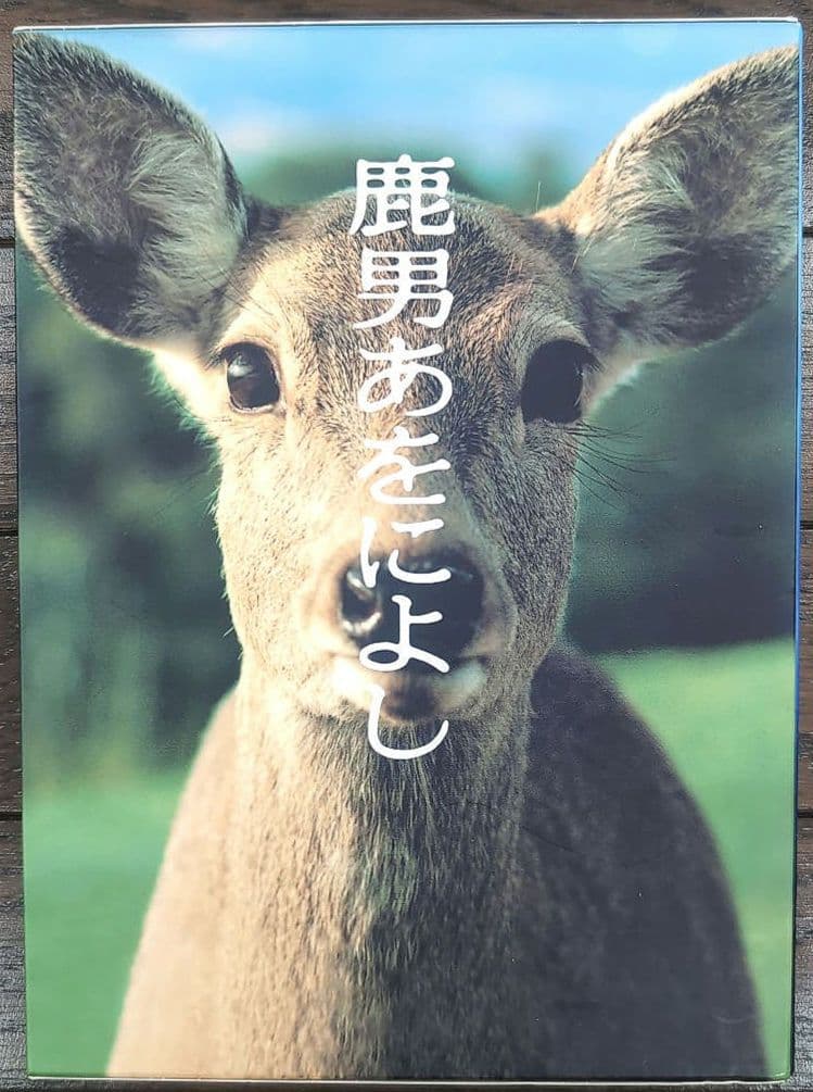 鹿男あをによし DVD-BOX ディレクターズカット完全版〈6枚組〉