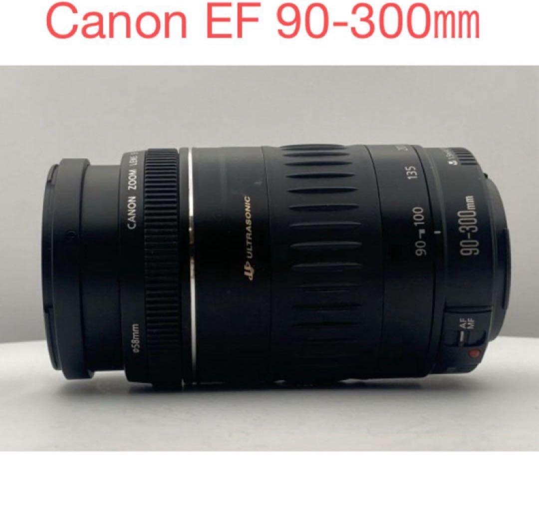 ☆美品☆望遠レンズ☆Canon EF 90-300mm F4.5-5.6 USM